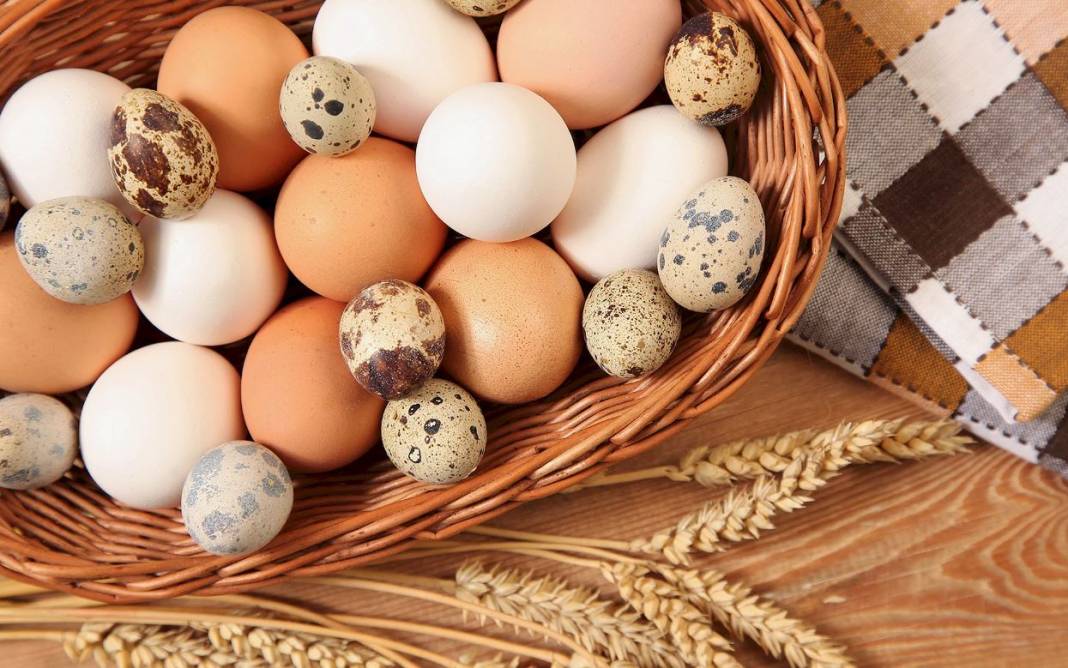 Beyaz mı kahverengi mi? Hangi yumurta daha sağlıklı? 1